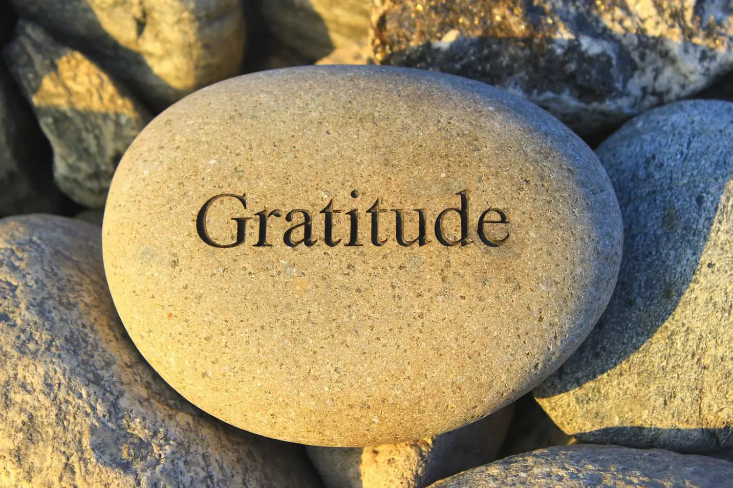 Gratitude rock 1