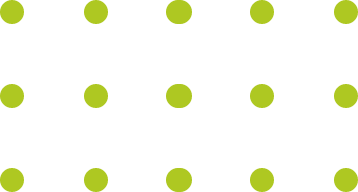 Group 8133